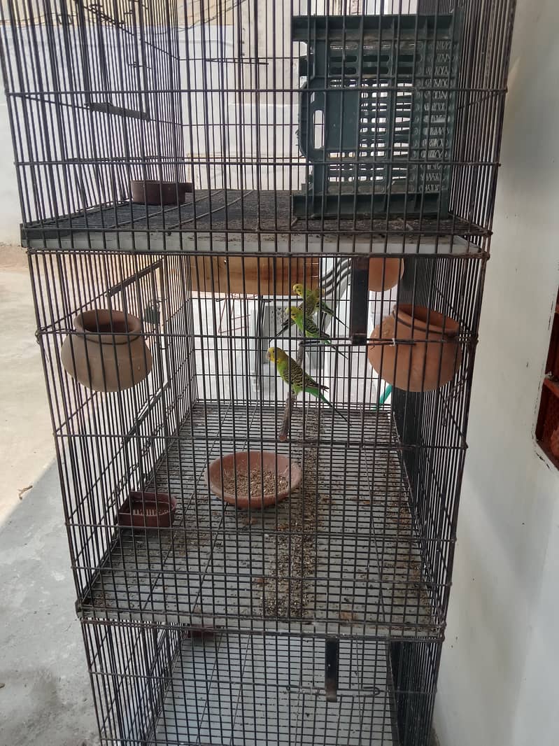 Birds cage 7c 0