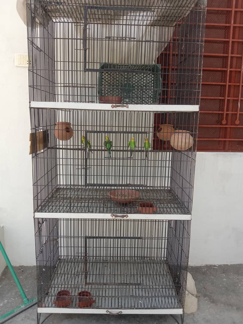 Birds cage 7c 2