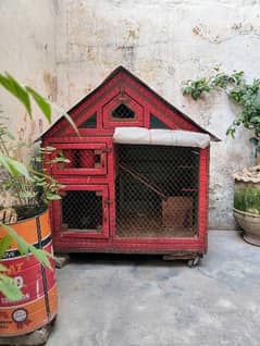 Hen Cage | Chicken Coop | Pinjra