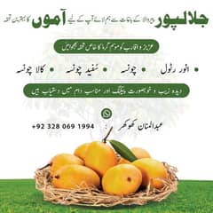 Export quality Mangoes available