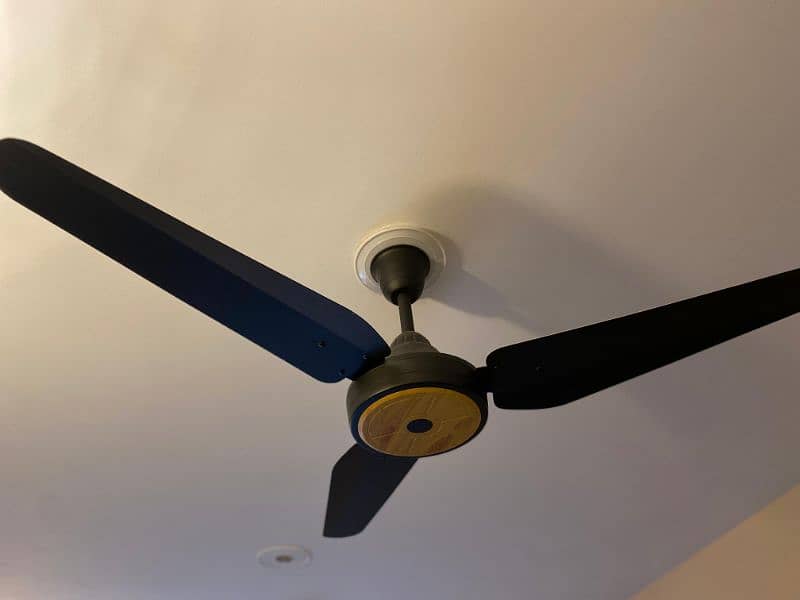 SK FAN MAGNUM 56'' IN NEW CONDITION 2