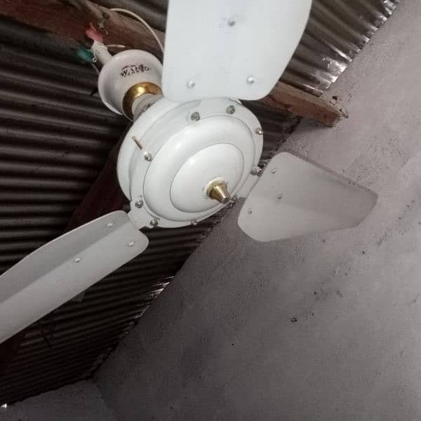 best Wahid celling fan for sale 4