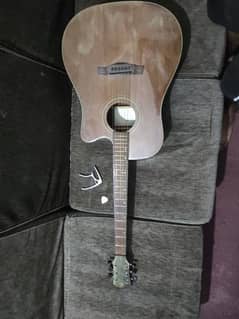 RIVERTONE Model RD-170 Acoustic Guitar