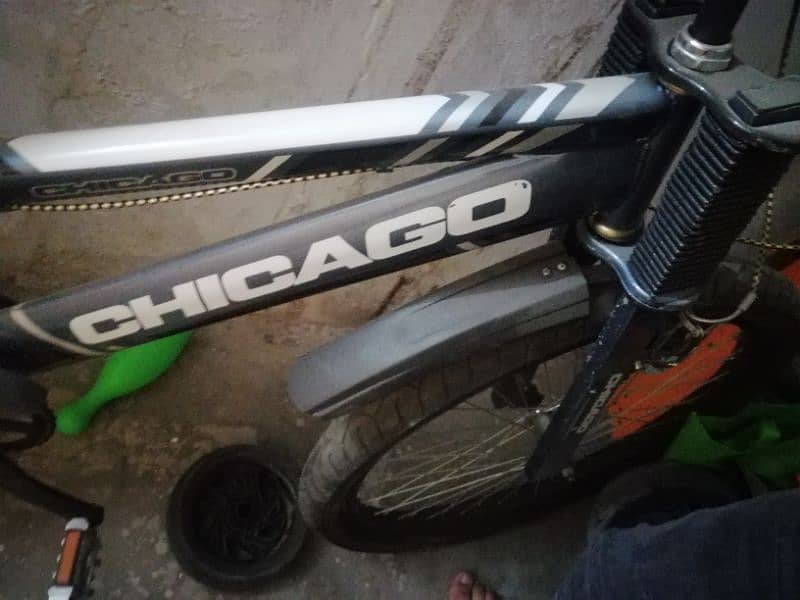 Chicago bycyle 1