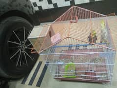 with cage and 1 box reasonable price.