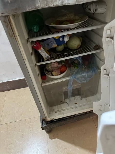 Fridge and freezer for sale full cooling system 3