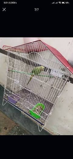 Parrot Cage 0
