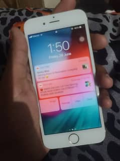 PTA aproved iphone 6