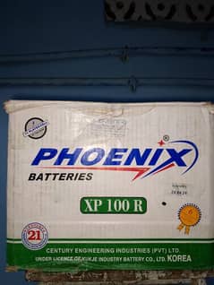 Phoenix 11 plate battery