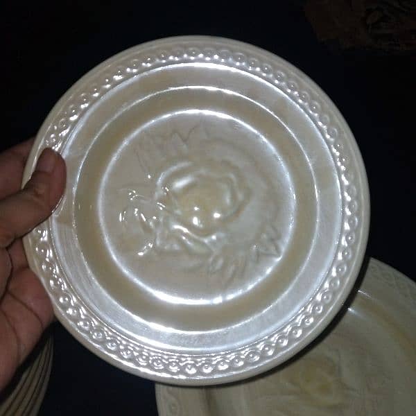 fancy plates total 18 plates. 6 quater 6 chawlon ki 6 salan ki. 3