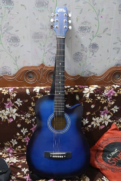 Beginner Acoustic Guitar 1