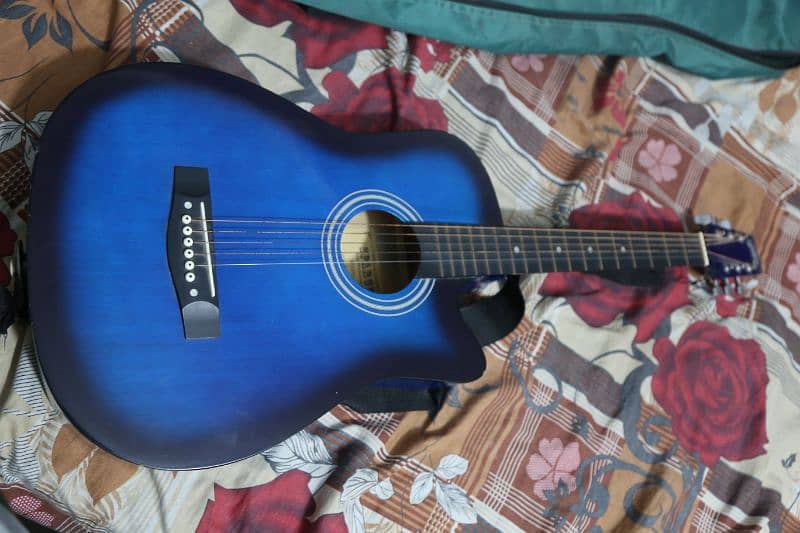 Beginner Acoustic Guitar 3