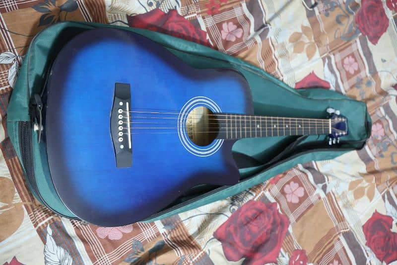 Beginner Acoustic Guitar 4