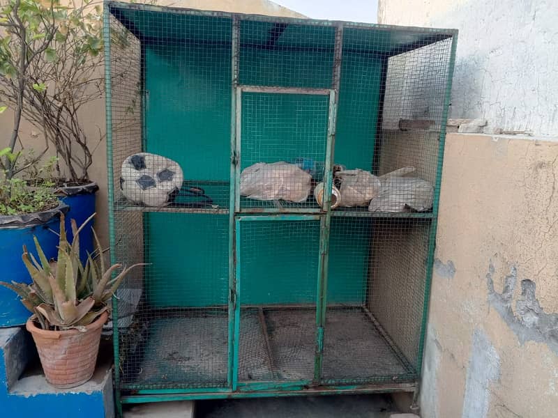 Bird Cage | Pinjra for sale on reasonable price condition excellent 0