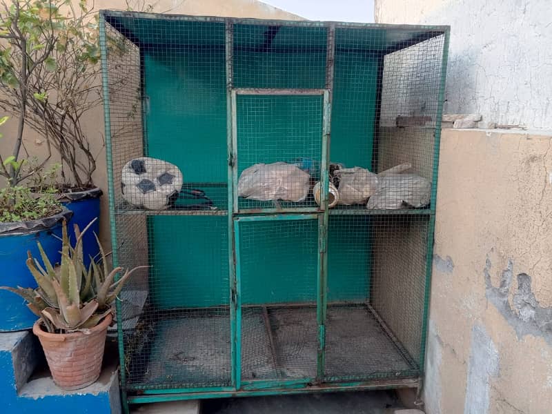 Bird Cage | Pinjra for sale on reasonable price condition excellent 1