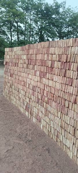 Awal Tile / Bricks Tile / Roof Tile 2
