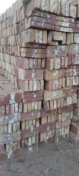 Awal Tile / Bricks Tile / Roof Tile 6