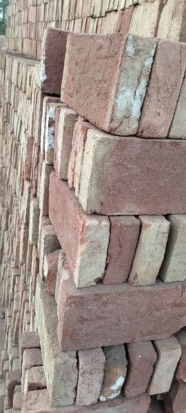 Tile awal / Bricks Tile / Bhata Tile 2