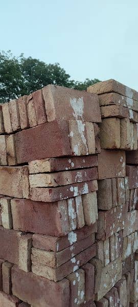 Tile awal / Bricks Tile / Bhata Tile 4