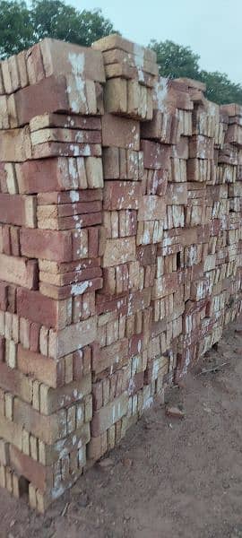 Tile awal / Bricks Tile / Bhata Tile 5