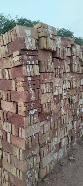 Tile awal / Bricks Tile / Bhata Tile 6