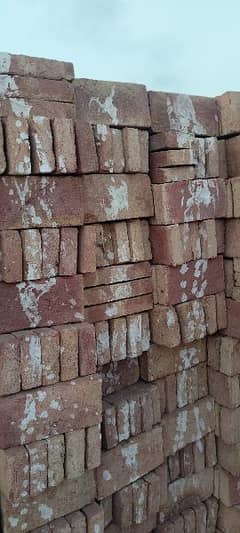 Bhatta Tile /kiln Tile / Awal Tile/ Roof Tile 0