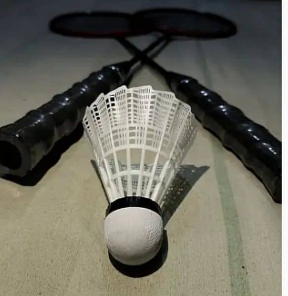 Badminton pair with Free shuttle 1