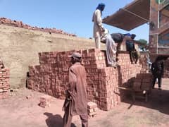 Dara Bricks /Awal Bricks / Direct Bhata Pattoki