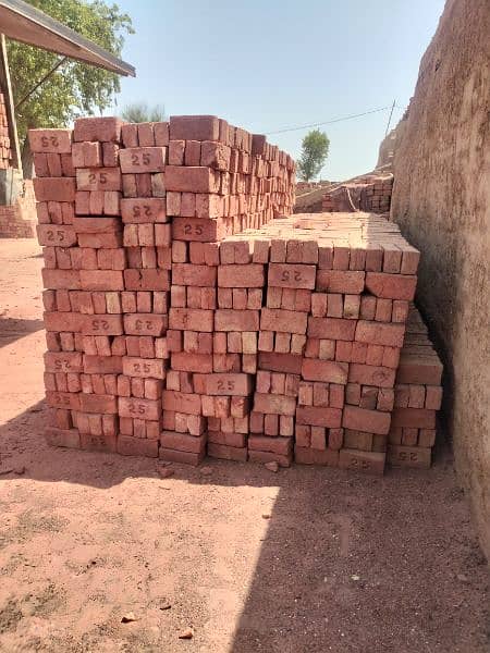 Dara Bricks /Awal Bricks / Direct Bhata Pattoki 1