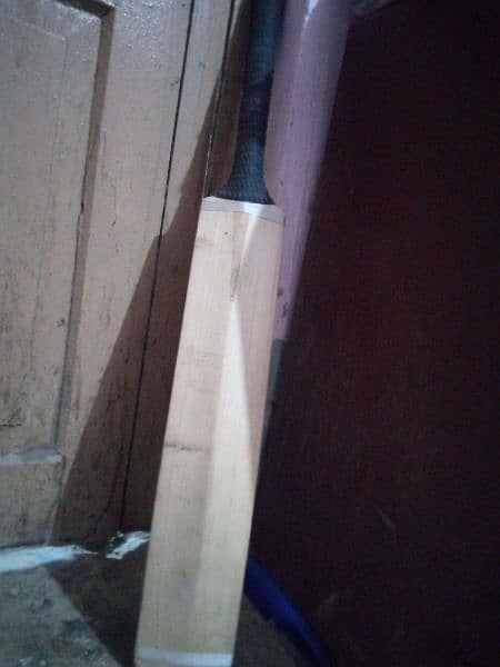 hard bat  for cricket 1