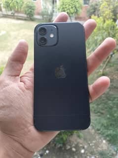 iphone 12 with box chrger 2 month used olx chat