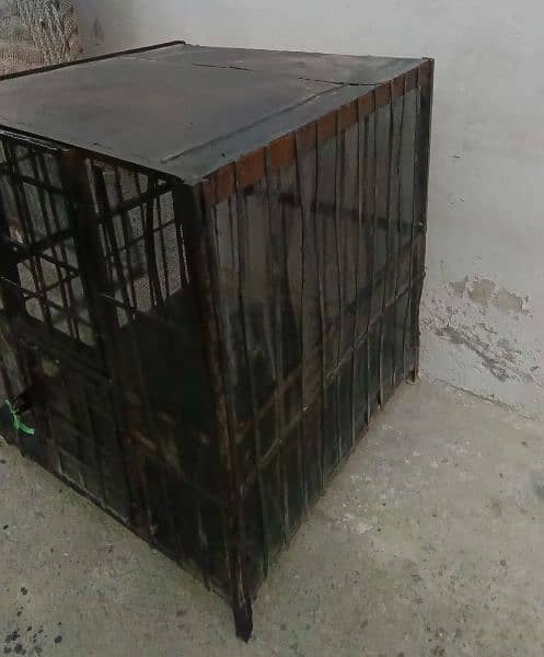 hen cage urgent sale 1