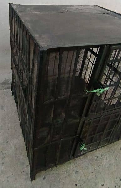 hen cage urgent sale 2