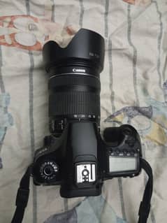 Canon 60D with Battery Grip and 18-135 STM Lens