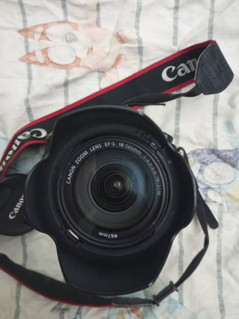 Canon 60D with Battery Grip and 18-135 STM Lens 4