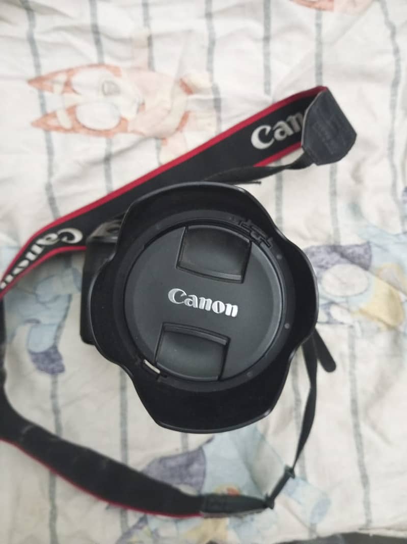 Canon 60D with Battery Grip and 18-135 STM Lens 5