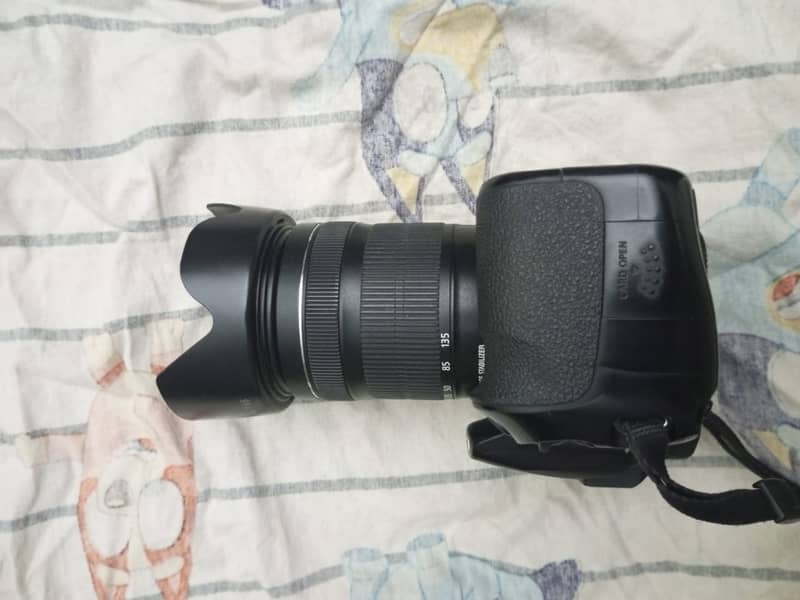 Canon 60D with Battery Grip and 18-135 STM Lens 11