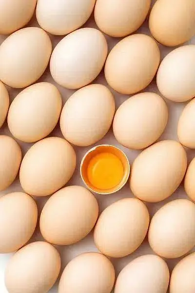 hera aseel, muska, miawali, bengum fertile eggs available delivery — photo 5