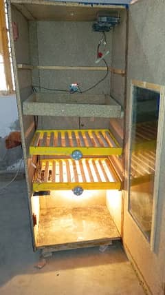 incubator 0