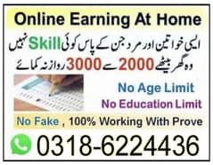 online jobs available/ typing Assignment/ Data Entery / c 0