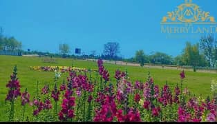 6 Marla Plot For Sale At Merryland Mardan