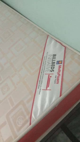 molty ortho medicated mattress 2