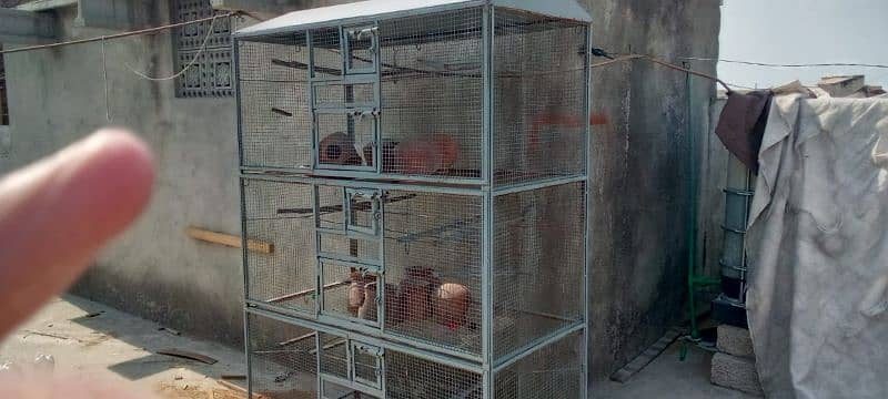 bird cage 0