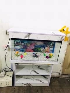 3fit brand new fish aquarium