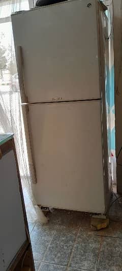 Fridge