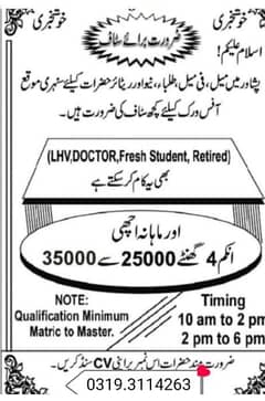 office work male and female staff required