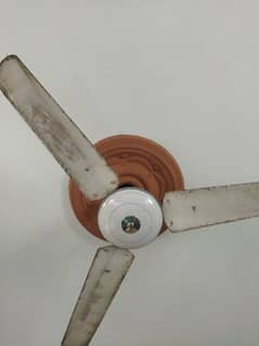 Ceiling fan working condition