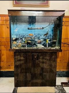 Glass Aquarium 6feet more details in chat and in description