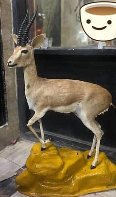 Stuffed deer