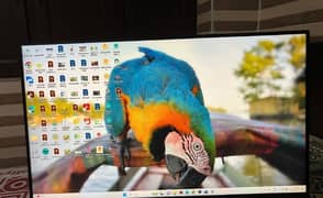 LENOVO BORDERLESS IPS LED MONITOR